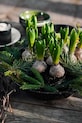 Тарілка Sagaform Doris 5018177