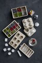 Kuchnia i bar Bitz foremki do lodów Mould 225291 multicolor