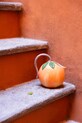 Графин Byon Peach 1,8 L 5228660611 помаранчевий AA00