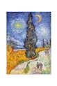 Reprodukce malovaná olejem home & lifestyle Cesta s cypřišem a hvězdou, Vincent van Gogh vícebarevná 181614