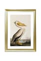 home & lifestyle decorațiune de perete cu ramă PELICAN OVER THE WATER 50 x 70 cm multicolor 1541601.23103