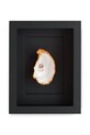 Maria el Mar dekoracja ścienna w ramie Single Oyster 22 x 17 cm