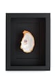 Maria el Mar dekoracja ścienna w ramie Single Oyster 22 x 17 cm