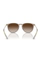 Ray-Ban sunglasses 0RB4171 brown