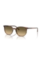 Accesorii Ray-Ban ochelari de soare 0RB2197 maro