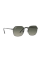 Ray-Ban sunglasses 0RB3694