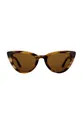 коричневий Сонцезахисні окуляри Daniel Wellington Unisex