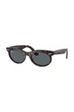 Солнцезащитные очки Ray-Ban 0RB2242 коричневый AA00