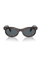 Аксессуары Солнцезащитные очки Ray-Ban 0RB2242 коричневый
