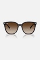 Αξεσουάρ Γυαλιά ηλίου Ray-Ban 0RB4423D καφέ