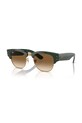 Sluneční brýle Ray-Ban jednotná černá 0RB0316S