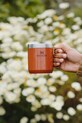 Stanley cană termică The Everyday Camp Mug 0,35 L portocaliu 10.09366.290