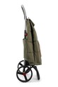 Тележка для покупок Rolser Big Polar 2LRSG 44 L BIG008.1005 зелёный AA00