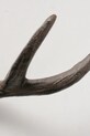 Salon i sypialnia Boltze wieszak ścienny na ubrania Antler 17 cm 2059882 czarny