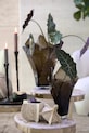 Light & Living container 21 x 27 cm 7491113