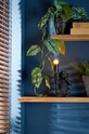 Light & Living veioza 1863320