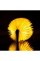 Gingko Design lampă cu led Mini Smart Book Light GK12W3