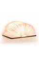 Светодиодная лампа Gingko Design Mini Smart Booklight коричневый GK12W8