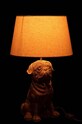 Obývací pokoj a ložnice Stolní lampa J-Line 35362 vícebarevná