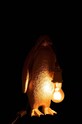 Salon i sypialnia J-Line lampa stołowa 37848. żółty