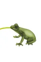 QeeBoo lampa wisząca Hungry Frog zielony