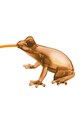 QeeBoo veioza Hungry Frog 59001AM maro AA00