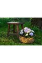 Living și dormitor Sirius lant usor Knirke Cluster 160L 30820 verde