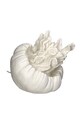 Настільна лампа home & lifestyle Jellyfish білий KAL.4468