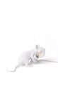 Настільна лампа Seletti Mouse Lamp Lop 15222 білий AA00