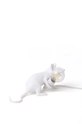 Seletti veioza Mouse Lamp Lop 15222 alb AA00