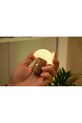 Ασύρματο φωτιστικό led Gingko Design Super Mini Alice Mushroom G022S.WT