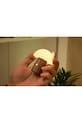 Bezdrôtové led svietidlo Gingko Design Super Mini Alice Mushroom G022S.WT