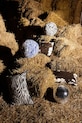 Διακοσμητικό μαξιλάρι Byon Anima 40 x 60 cm L καφέ 5219805604