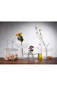 IVV sticla de ulei Pinolio 0,25 L 8511.1 transparent AA00