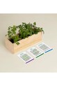 Lifestyle RESETEA zestaw do uprawy roślin Growing Kit 21 x 7,8 x 6,5 cm Erst160 multicolor