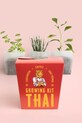 Lifestyle RESETEA zestaw do uprawy roślin Kit Thai EN 16 x 8,5 cm Erst492 multicolor