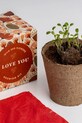 RESETEA zestaw do uprawy kwiatów Say it with Flowers Growing Kit 8,8 x 8,8 x 8,8 cm multicolor Erst171