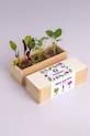 RESETEA zestaw do uprawy roślin Mini garden Strange vegetables 9,8 x 8,8 x 8,8 cm multicolor Erst428