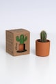 Lifestyle RESETEA zestaw do uprawy rośliny Mr Cactus 8,5 x 10,7 x 8,5 cm Rst422 multicolor