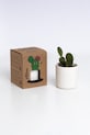 Lifestyle RESETEA zestaw do uprawy rośliny Mrs Cactus 8,5 x 10,7 x 8,5 cm Rst423 multicolor