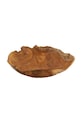 home & lifestyle bol decorativ