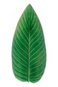 Costa Nova talerz do serwowania Riviera Strelizia 40 cm zielony VEA401.TMT.SET2
