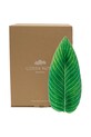 Costa Nova talerz do serwowania Riviera Strelizia 40 cm VEA401.TMT.SET2 zielony AA00