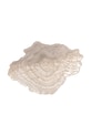 Kuchnia i bar Bloomingville misa ozdobna Aiku 38 x 7 x 29 cm 82068716 beżowy