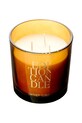 Edition Fragrances lumânare parfumată de soia Signature Amber 340 g SA08L multicolor AA00