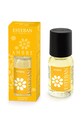 Esteban olejek zapachowy Ambre 15 ml