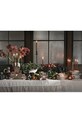 ferm LIVING zestaw świec 4-pack 1104266254 multicolor