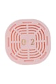 Mr & Mrs Fragrance kapsułka zapachowa Queen Pink 02 JCIALDQ002 multicolor AA00