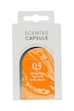 Mr & Mrs Fragrance kapsułka zapachowa Queen Orange 05 multicolor JCIALDQ005