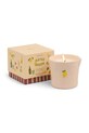 Ароматическая соевая свеча Paddywax Lemon Embossed 226 g мультиколор BIS0803EU